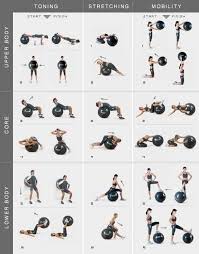Yoga Ball For My Upper And Lower Lower Body And Core Must Try Yoga Ball Exercises Ball Exercises Gym Ball