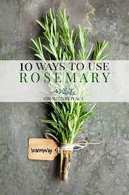 Rosemary Ideas Recipes Decor More On Sutton Place Rosemary Plant Rosemary Recipes Herbs