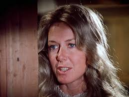 The Illustrated Little House