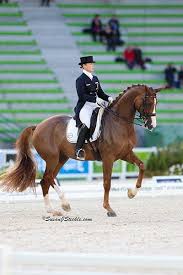 Modellpferdeversand, ihr partner für modellpferde, zubehör, tierfiguren,. Pin On Dressage