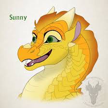Maybe you would like to learn more about one of these? Dragon Wings Of Fire Sunny Novocom Top