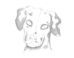 Если тебе нужен друг, купи себе собаку. Wie Zeichnet Man Einen Dalmatiner Hund Design Illustration Website Entwicklung Computerspiele Und Mobile Anwendungen