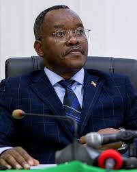 Image result for Nesaea rautanenii