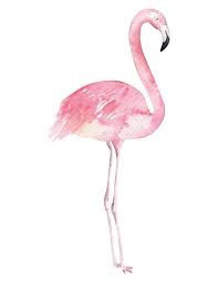 Jul 13, 2021 contract expires: Dekodino Wandtattoo Aquarell Flamingo Im Modischen Design Tiere 1 Stuck Online Kaufen Otto