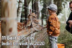 11 Best Zoos In India To Visit In 2020 In 2020 Zoo Pictures Kids Zoo Zoo Photos