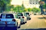شركة النخلة العراقية للحراسات الامنية