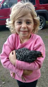 Phillips 66 in Pomona and Chicken Sales in West Plains MO