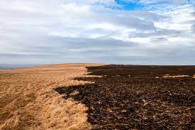 Huge Three Mile Wide Bodmin Moor Fire Being Treated As Arson Cornwall Live