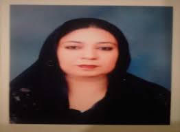 Blue Digital Business Meet The Team Instagram Story