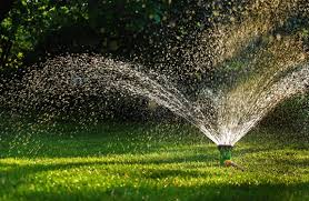 Wondering how to install a sprinkler system yourself? Lawn Watering Tips Best Practices Weed Man Lawn Care