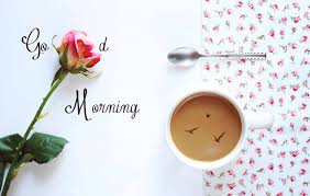 Awesome Good Morning Hd Wallpapers Greetings Quotes Rose Good Morning Coffee 998x633 Wallpaper Teahub Io Discover thousands of pictures and messages about good morning quotes. awesome good morning hd wallpapers