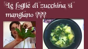 We did not find results for: Limitiamoidanni 13 Le Foglie Di Zucchina Si Mangiano Youtube