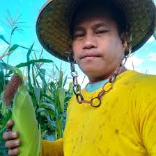 😱New PREV-AM GOLD😱 ✔️BIO-INSECTICIDE ✔️BIO-FUNGICIDE ✔️BIO-ACARICIDE  ✔️SAFE TO USE DAHIL OCCP REGISTERED ✔️FAST ACTION ✔️ALL CROPS 👉🏻Ang  all-in-one na formulation na ito ay nagbibigay ng komprehensibong  proteksyon na mapanatiling ...