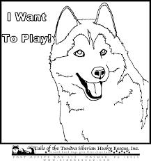 Free printable husky coloring pages for kids. Free Printable Husky Coloring Pages Novocom Top