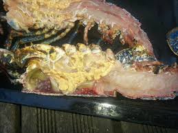 Meets the back you want to break and make a hole for your finger to fit. How To Tell If Lobster Is Spoiled Food Storage How Long Can You Keep