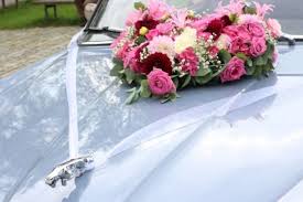 Comment augmenter le nombre d'animaux rares? Decoration De Voiture Du Mariage Comment La Rendre Parfaite