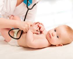 With more than 13 years experience in the holistic health care field she has brought an almost 200 year old therapy to the wesley chapel area. Tampa Pediatricians Fun 4 Tampa Kids