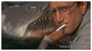 The Daily Jaws