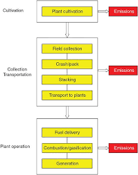 Appendix C Life Cycle Assessment Of Biomass Power In China