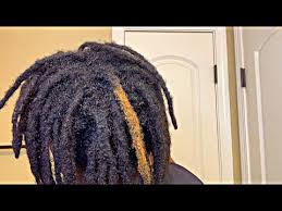 The best hair color ideas for men depend on your personal style. I Dyed My Hair Hightop Semi Freeform Dreads Youtube