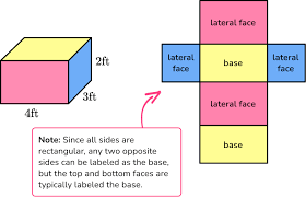 How Many Faces Does A Hexagonal Pyramid Have? | Homework.Study.Com