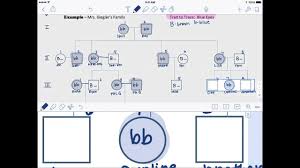 How To Make A Pedigree Chart With Genotypes Www