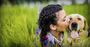Third hand smoke is the residue from smoke that remains on skin, fur, clothing, furniture, etc. Don T Puff Around Pets American Lung Association