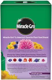 We did not find results for: Miracle Gro Water Soluble Bloom Booster Flower Food Amazon De Electronics Photo