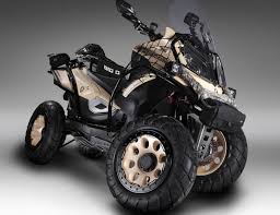 quadro big q un concept a 4 roues pour le loisir リバーストライク 3輪スクーター トリシティ