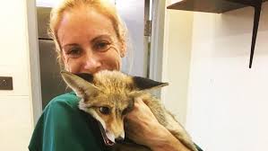 Adelaide Hills emergency vet service pleads for compassion