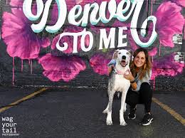 Lynn had so much patience and worked with us to find the right shots. Wag Your Tail Photography Denver Pet Photographer