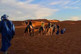 Take a tour of camel morocco tours, morocco. About Us Ibra Morocco Tours
