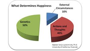 Pie Chart What Determines Happiness Center For Work Life