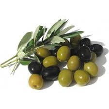 Zeytin fidanı üretimi çelik ve aşı ile yapılmaktadır iyi bakıldığında düzenli meyve verir. Gemlik Zeytin Fidani Tuplu 10 Lu Fiyati Taksit Secenekleri