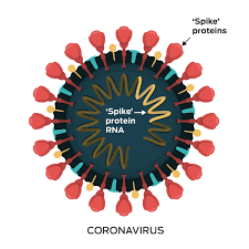 How vaccines work & herd immunity. How Coronavirus Vaccines Work