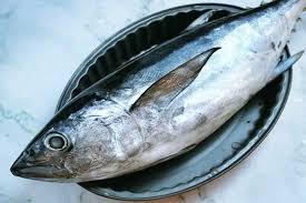 Nama saintifiknya adalah p thunnus tonggol. Update Daftar Harga Ikan Tongkol Per Kg Mei 2021 Suka Ikan
