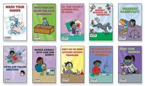 Check spelling or type a new query. Nebraska Scientific 10 Piece Lab Safety Poster Set 11 Width X 17 Height Amazon Ae Industrial Scientific