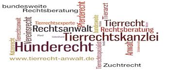 Im garten,oder suche einen guten platz im wald.ob man es darf,wäre mir egal.gibt auch hundefriedhöfe und krematorien,die allerdings das ist territorial unterschiedlich. Tierbestattung Darf Ich Meinen Hund Meine Katze Beerdigen Tierrecht Tieranwalt Tierrechtskanzlei Bundesweit