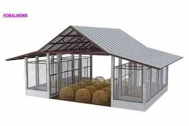 Ayam laga (fighting cocks) merupakan sejenis ayam yang dipelihara khusus untuk berlaga atau bertarung bagi tujuan perlawanan ayam. Contoh Reban Ayam Di Thailand Mini Farm Kota Tinggi Facebook