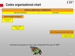 Ppt International Approach For Veterinary Medicinal