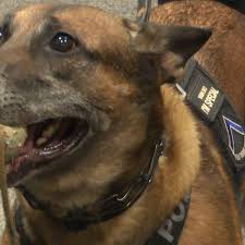 Charles F. Burdick, 91, of Watertown