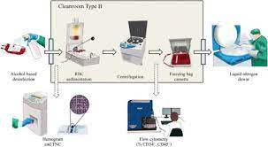 Rather, they are making a choice to do something that may potentially benefit either. Umbilical Cord Blood Collecting Processing And Banking Basic Steps Download Scientific Diagram