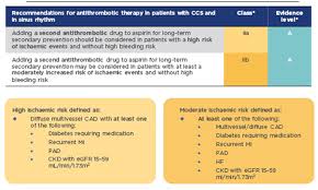 Esc congress 2021 will use a new intuitive platform that will enable smooth navigation and exceptional support interactivity. European Society Of Cardiology Chronic Coronary Syndromes Guidelines Review European Medical Journal