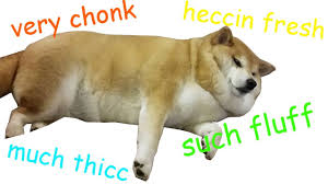 Chonk Chart Shibe Edition