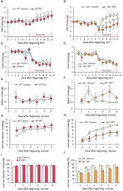 Image result for Erythrococca ulugurensis