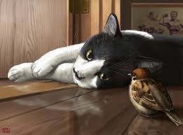 Taku Cat With Wren Cats Illustration Cat Art Cat Drawing