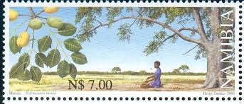 Image result for Helixanthera garciana