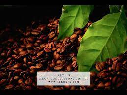 Mega Collection Coffee 13 Roasted Coffee Beans Buy Coffee Beans Coffee Beans