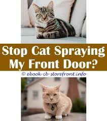 5 Outstanding Cool Tricks Cat Spray That Keep Cats Away Can Neutered Female Cats Spray Cat Pee Deterrent Spray How Do Cats Spray Person Sensible Aerosol Spray