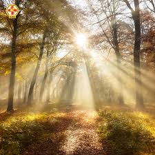 Image result for Sun Exposure